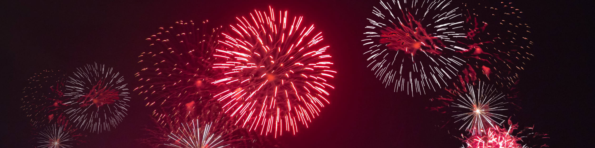 Burlington Fireworks Canada Day
