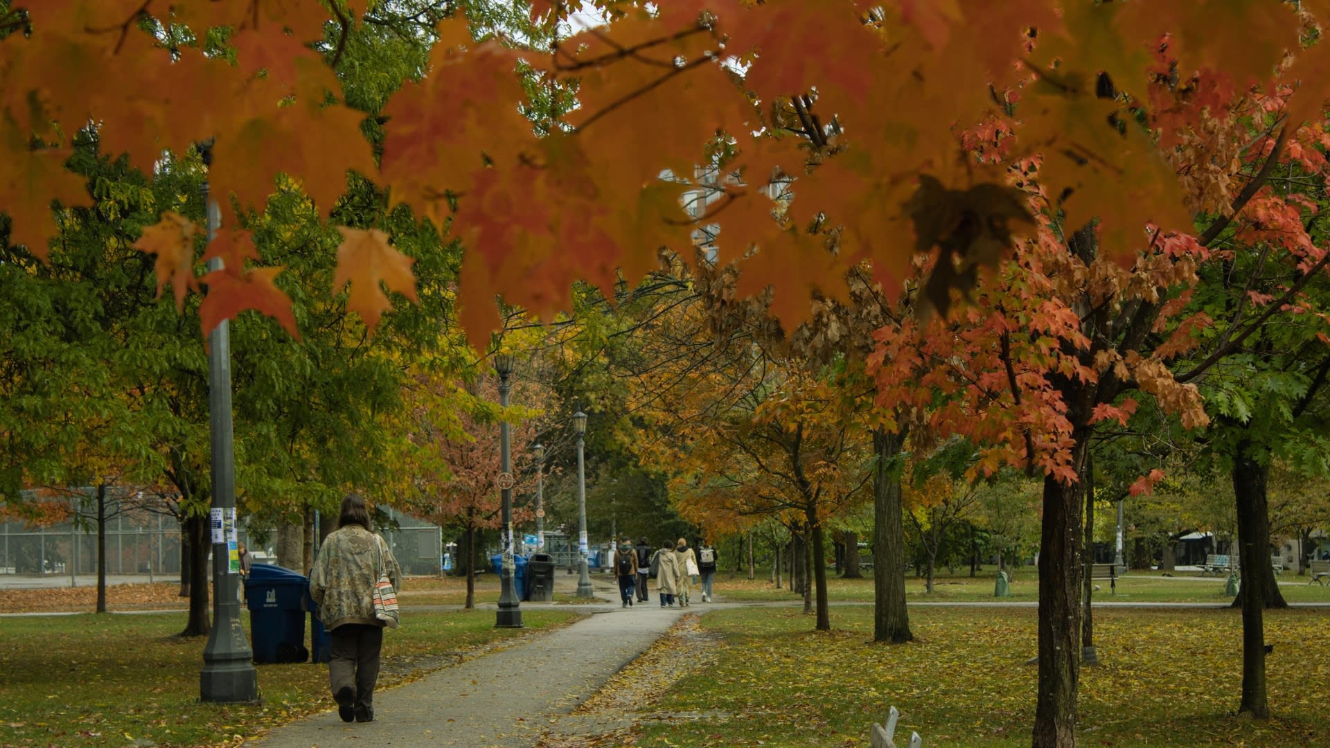 Enter description here