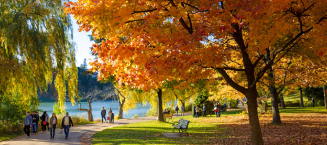 The best place to see fall colours in Toronto is High Park