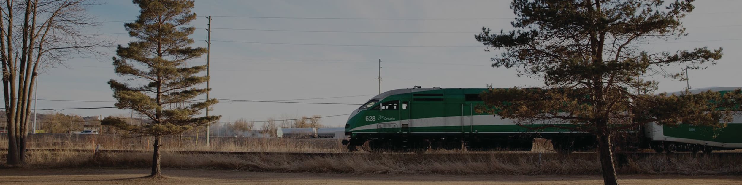 GO Train next to trees.