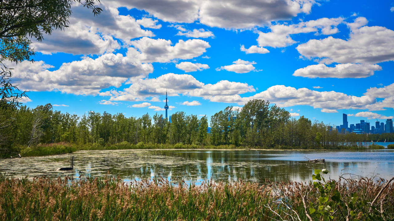Discover the great outdoors right here in Toronto