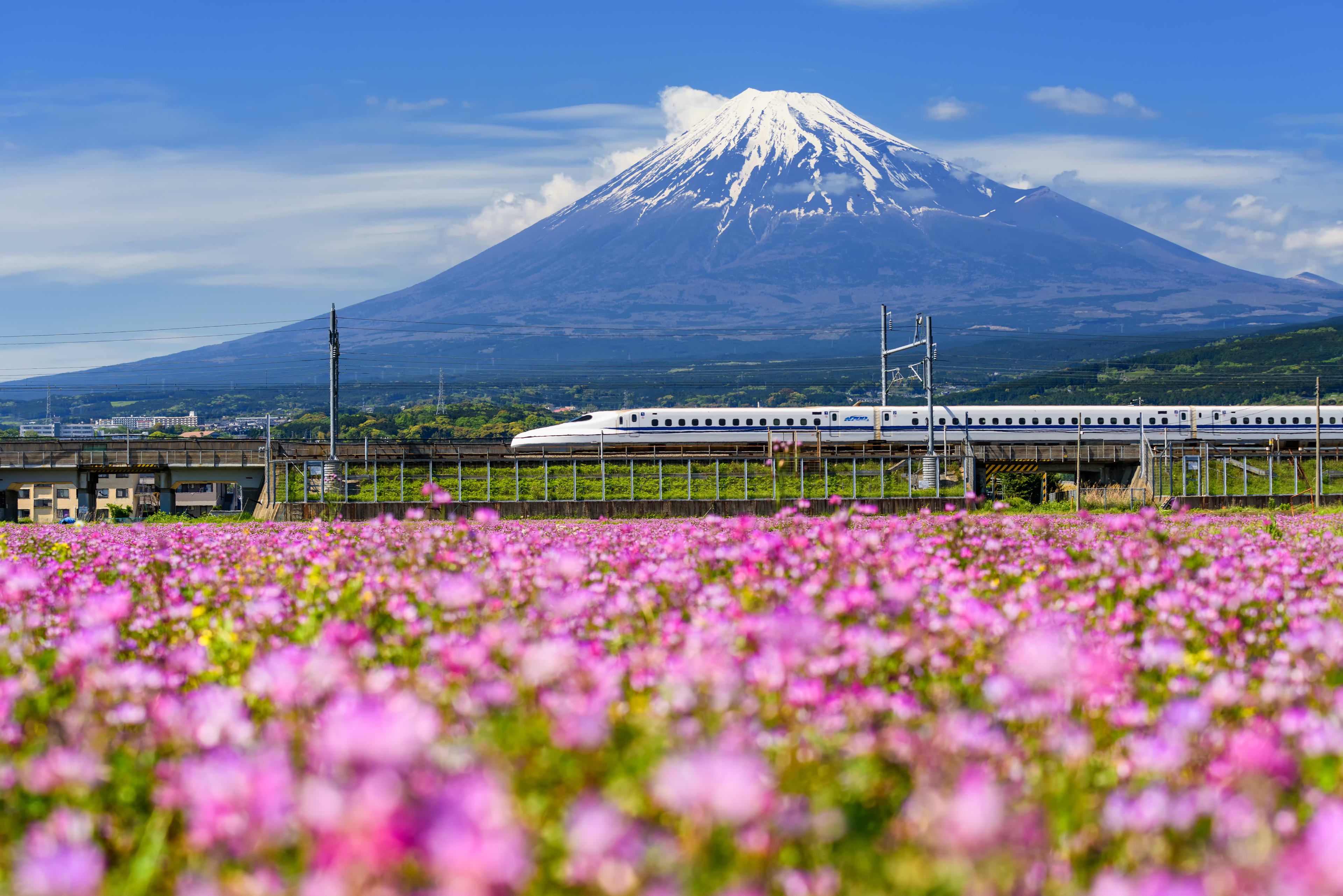 See the iconic Mt. Fuji from onboard Japan’s high-speed Shinkansen bullet train.