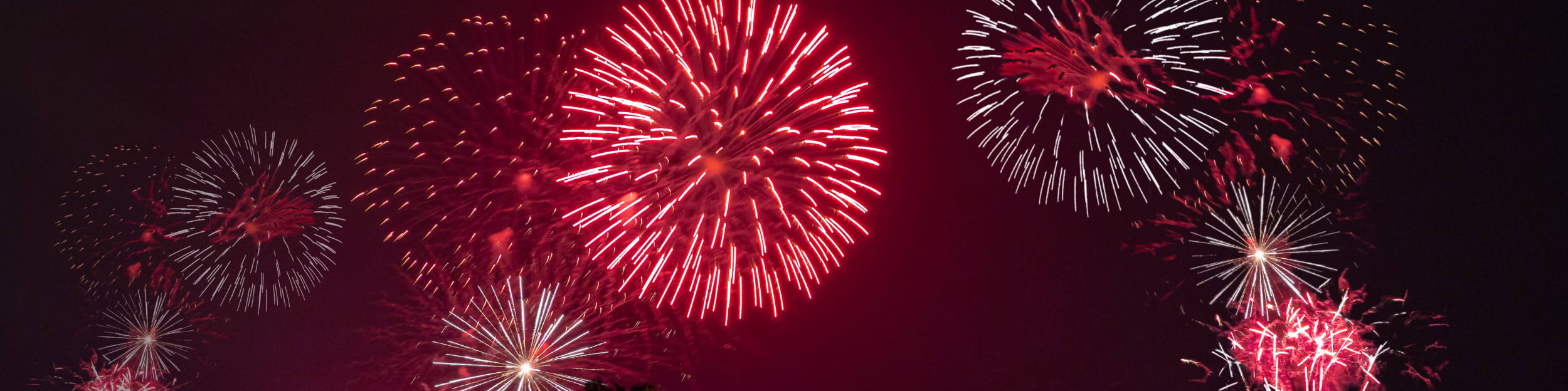 Burlington Fireworks Canada Day