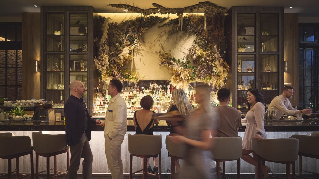 Images of Bar in Toronto