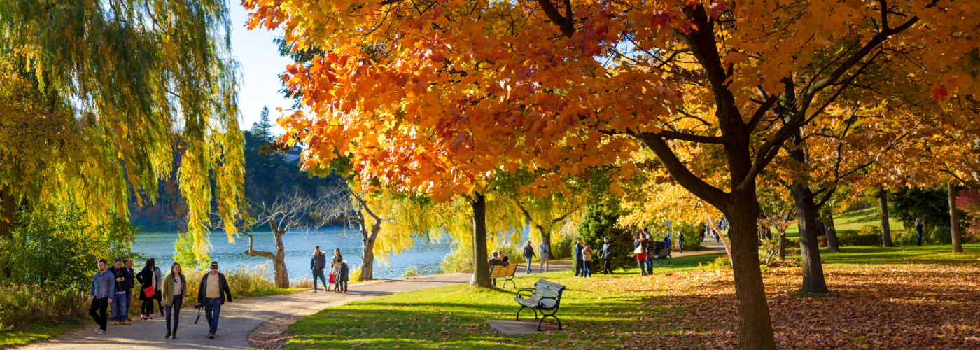 The best place to see fall colours in Toronto is High Park