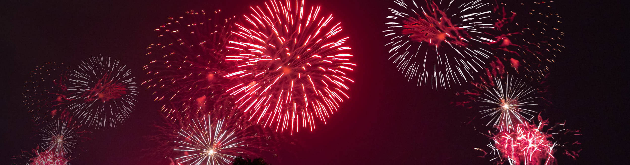 Burlington Fireworks Canada Day
