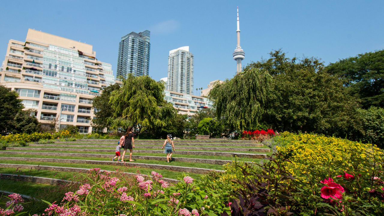 Discover the great outdoors right here in Toronto