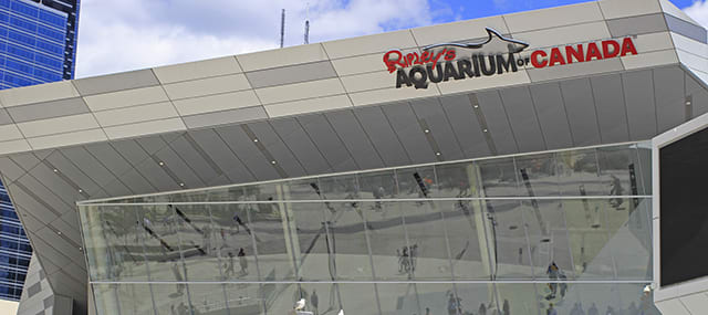 Ripley’s Aquarium of Canada is located a short walk from downtown Toronto’s UP Express Union Station