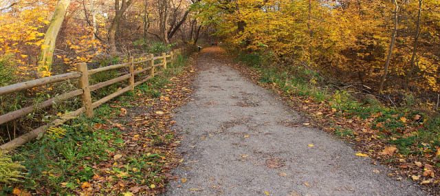 Image of trails near Toronto