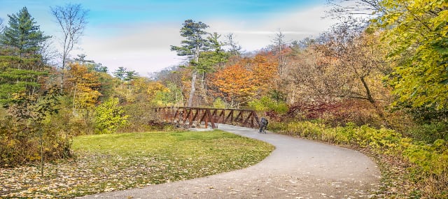 Image of trails near Toronto