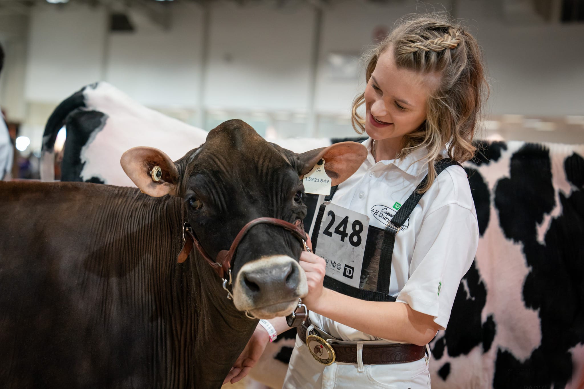 A woman petting a cow at the Royal Agriculture Winter Fair