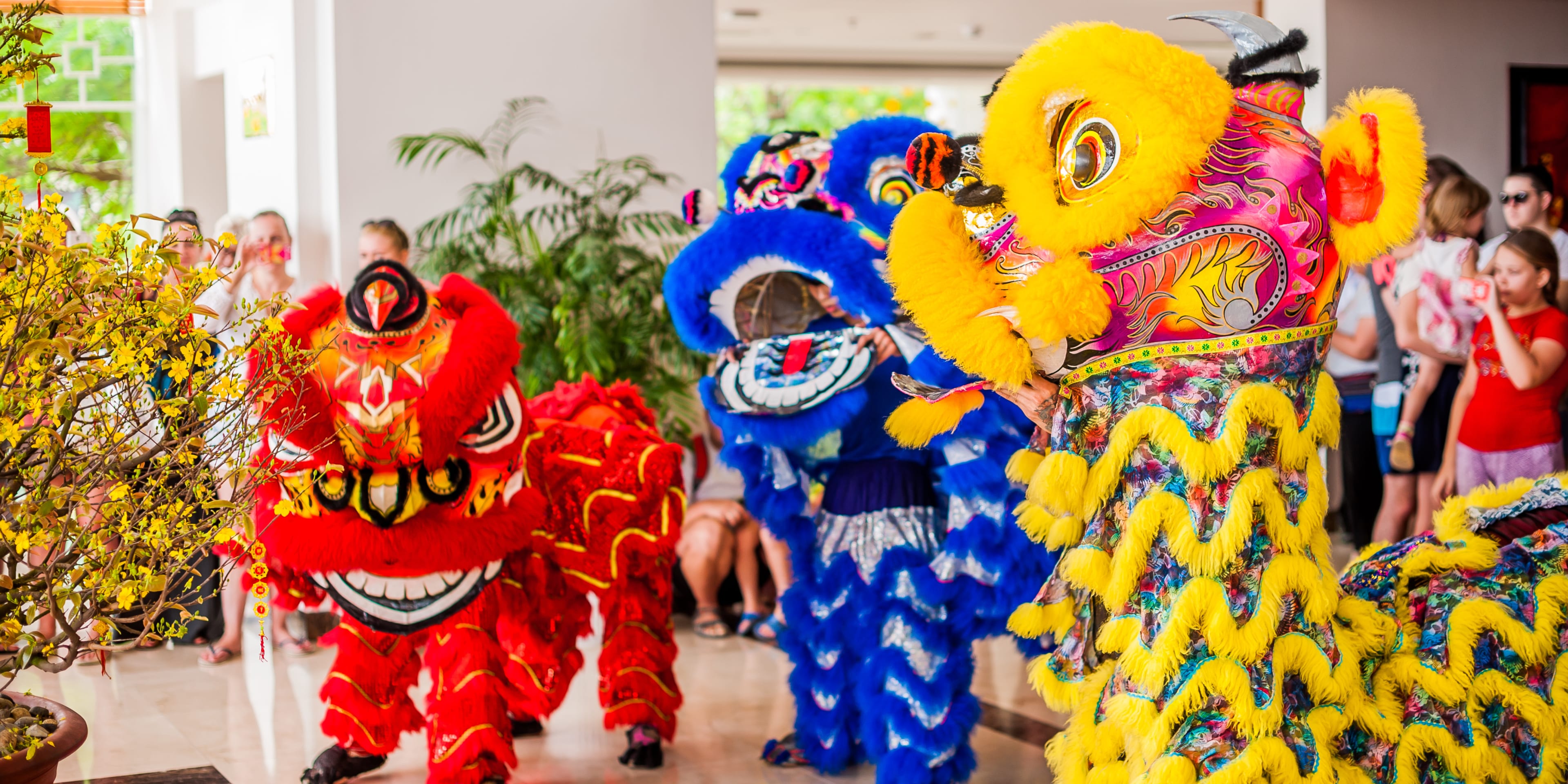 Three lion dances with a red, blue and yellow lion lined up from left to right.