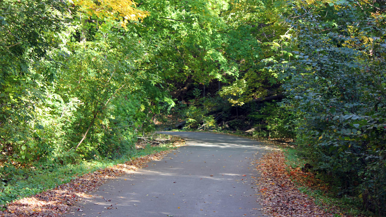 Discover the great outdoors right here in Toronto