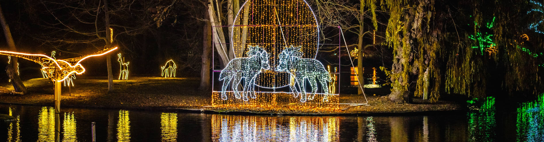 Enter description here