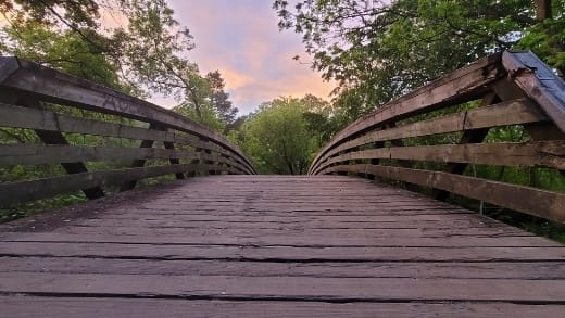 Betty Sutherland Trail 520x293