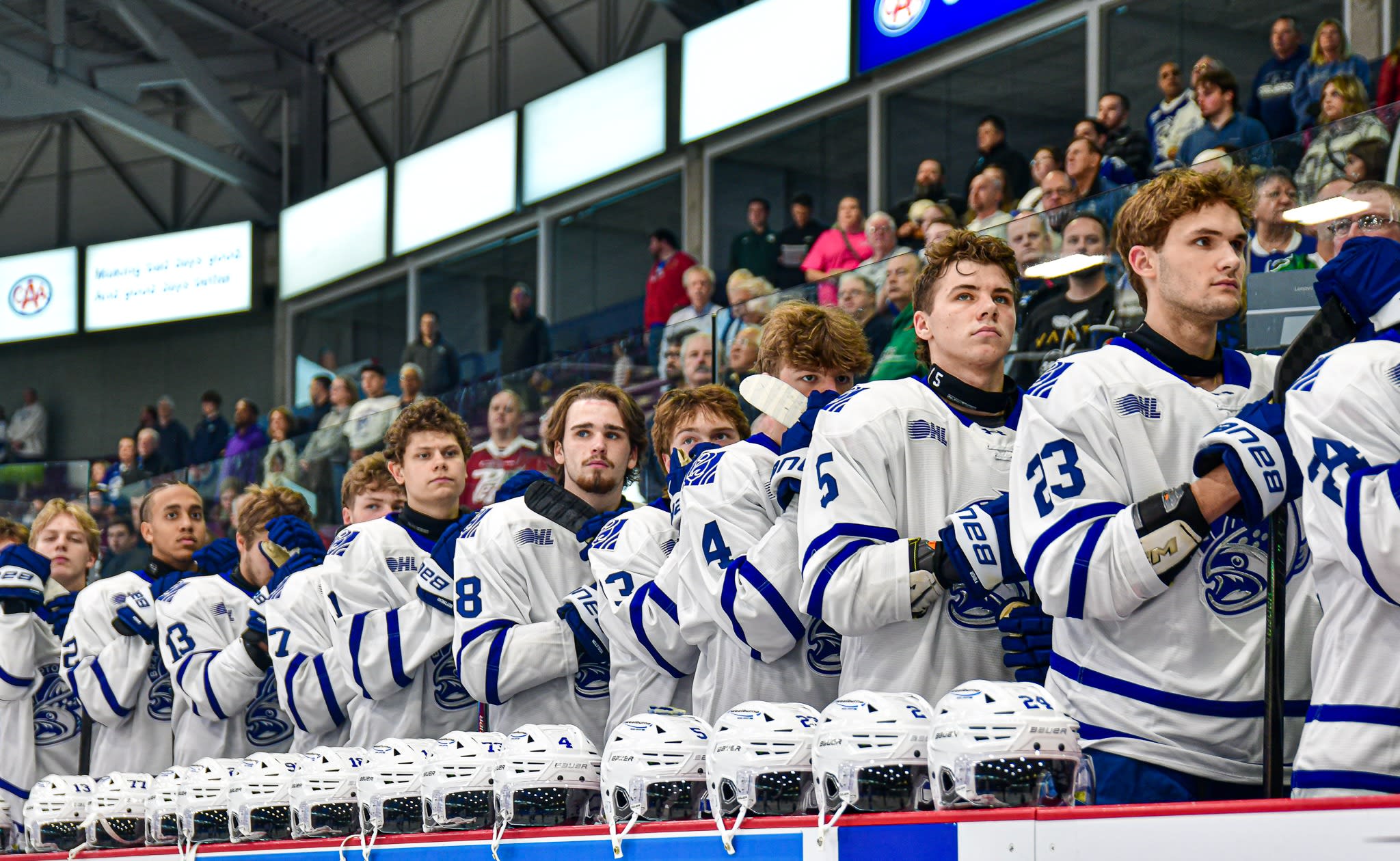 Brampton Steelhead hockey players lined up