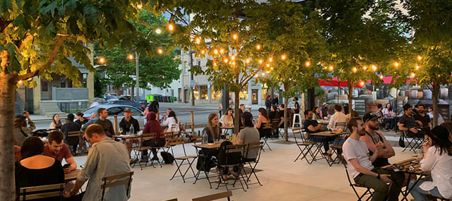 Groups of people sitting outdoors dining under trees and string lights