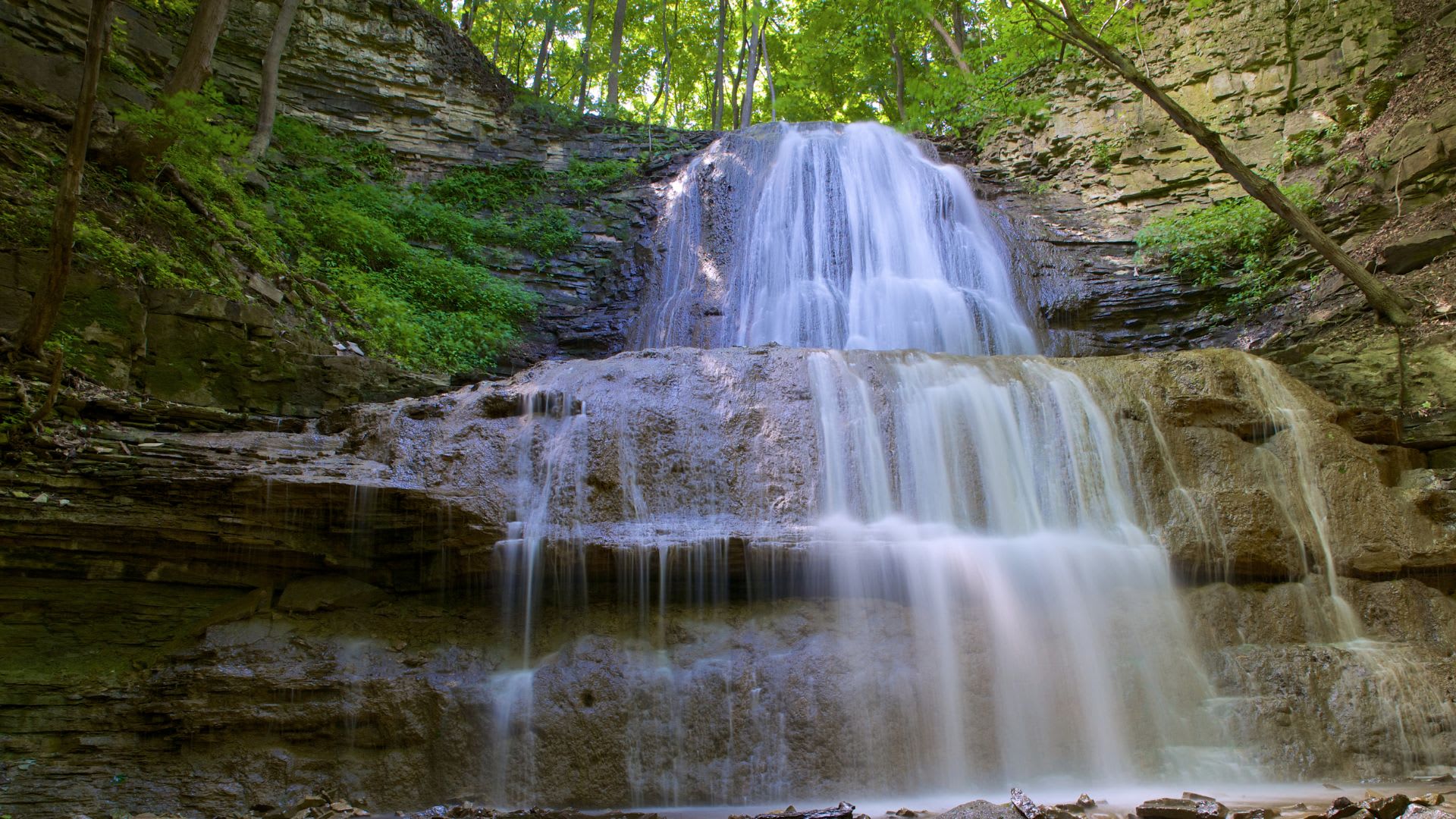 Photo d'une cascade à Hamilton