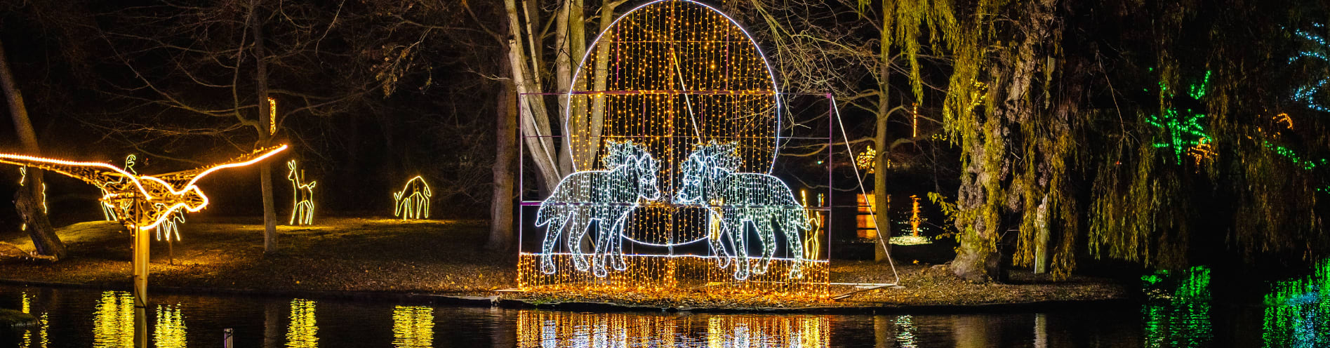 Enter description here