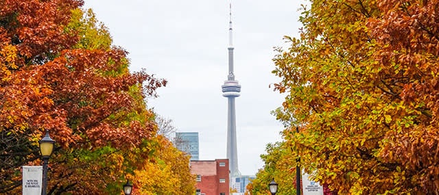 Toronto in November
