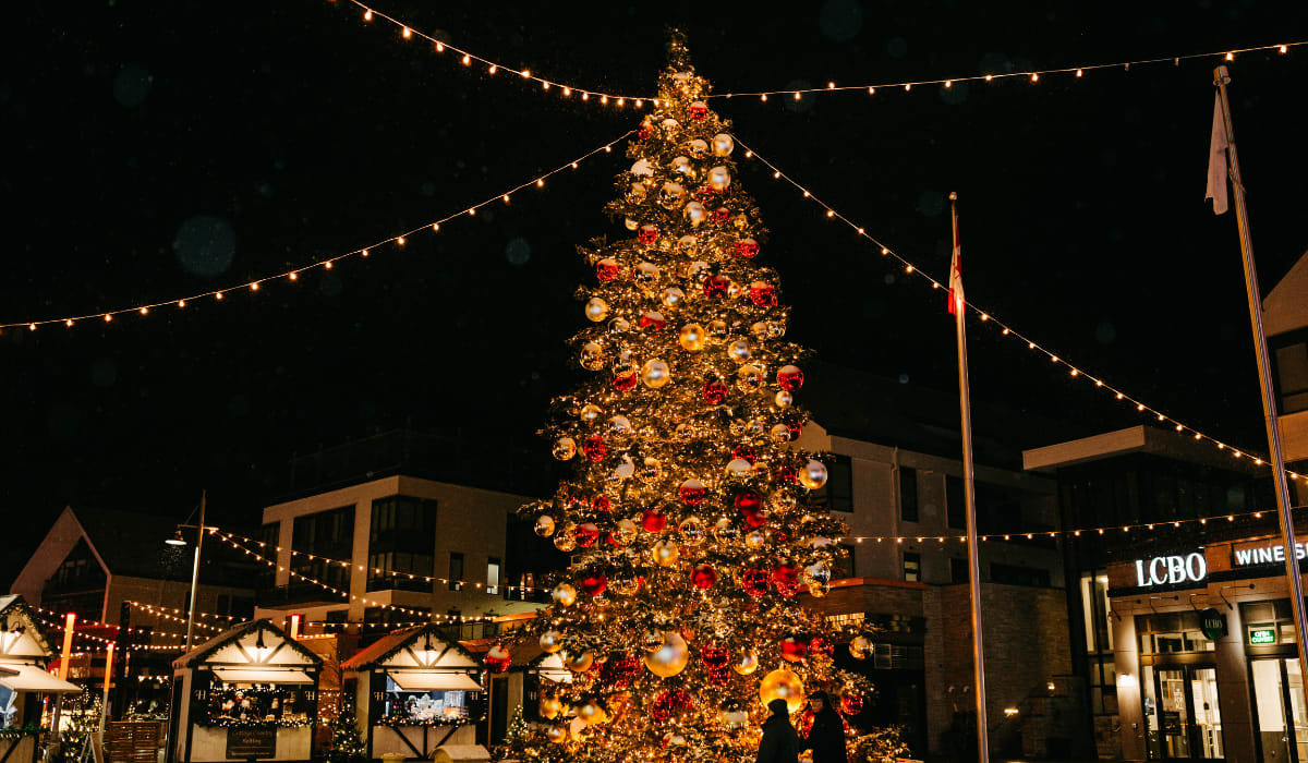 Enter description here