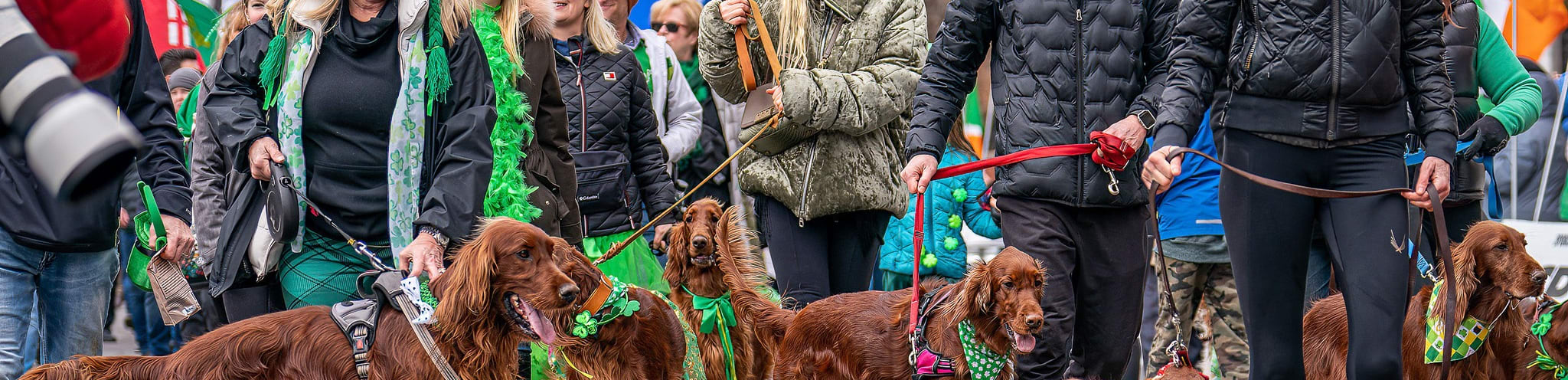 St. Patrick's Day Parade
