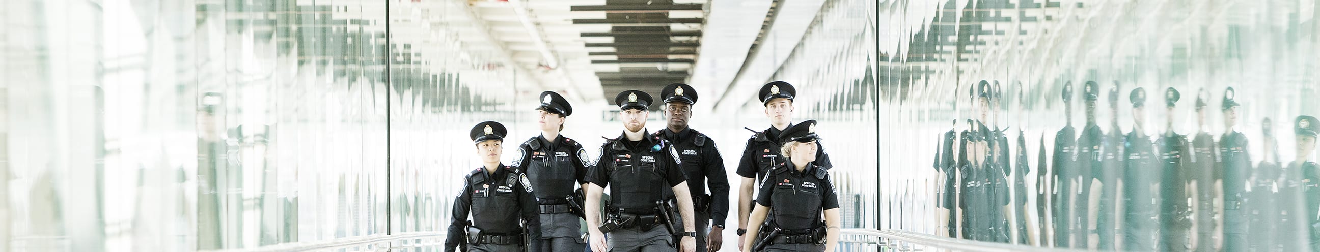 Customer Protective Officers