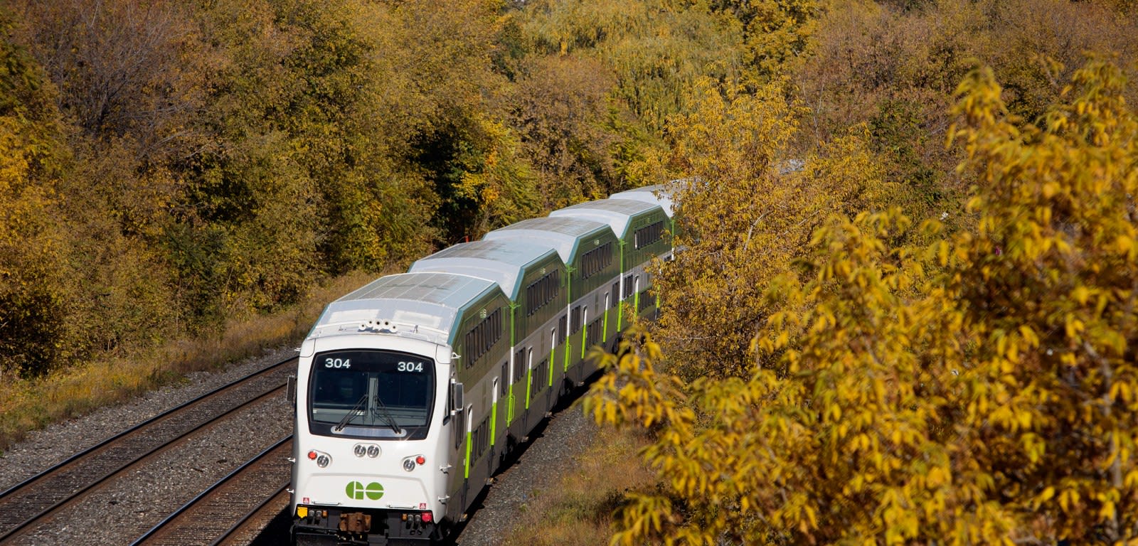 Fall colours train picture