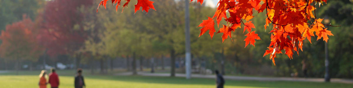 Toronto in fall
