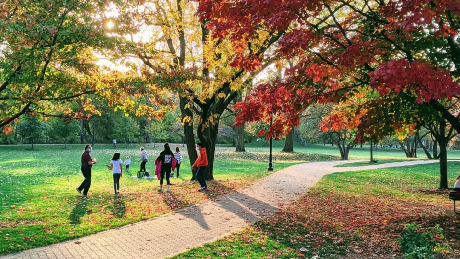 Enter description here