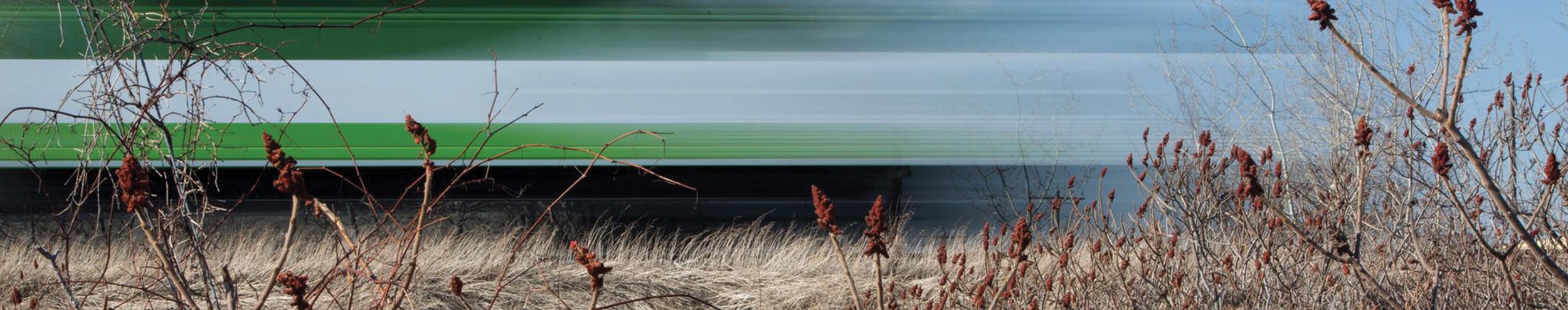 GO Train by a field.