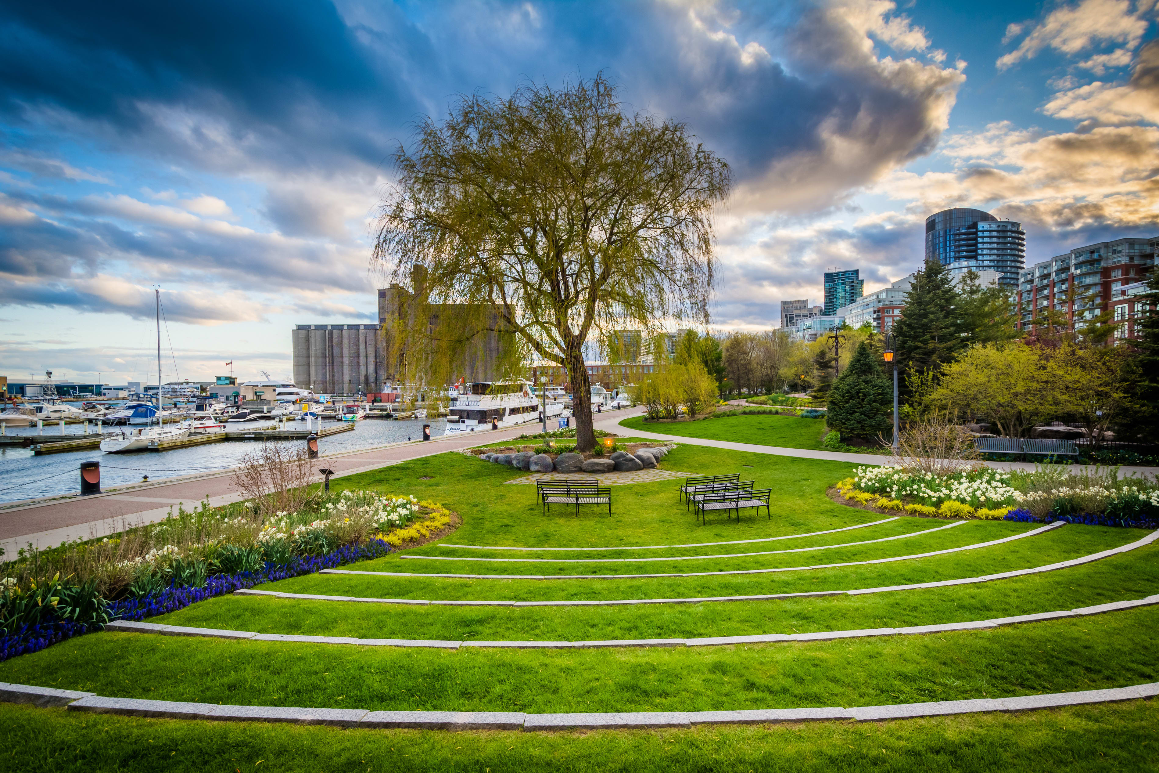 Toronto Music Garden by the waterfront in the summer.