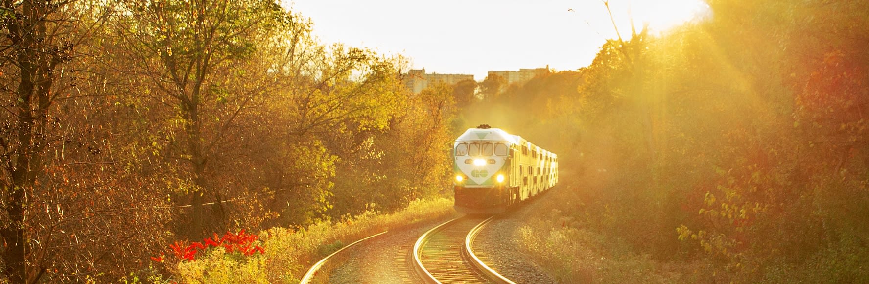 A GO train on the tracks during a golden hour sunset.