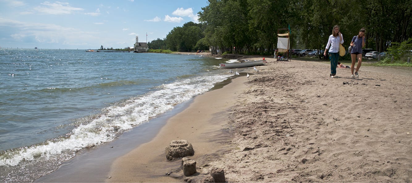 A sandy beach with trees and water, two women walking on the sand on a sunny day