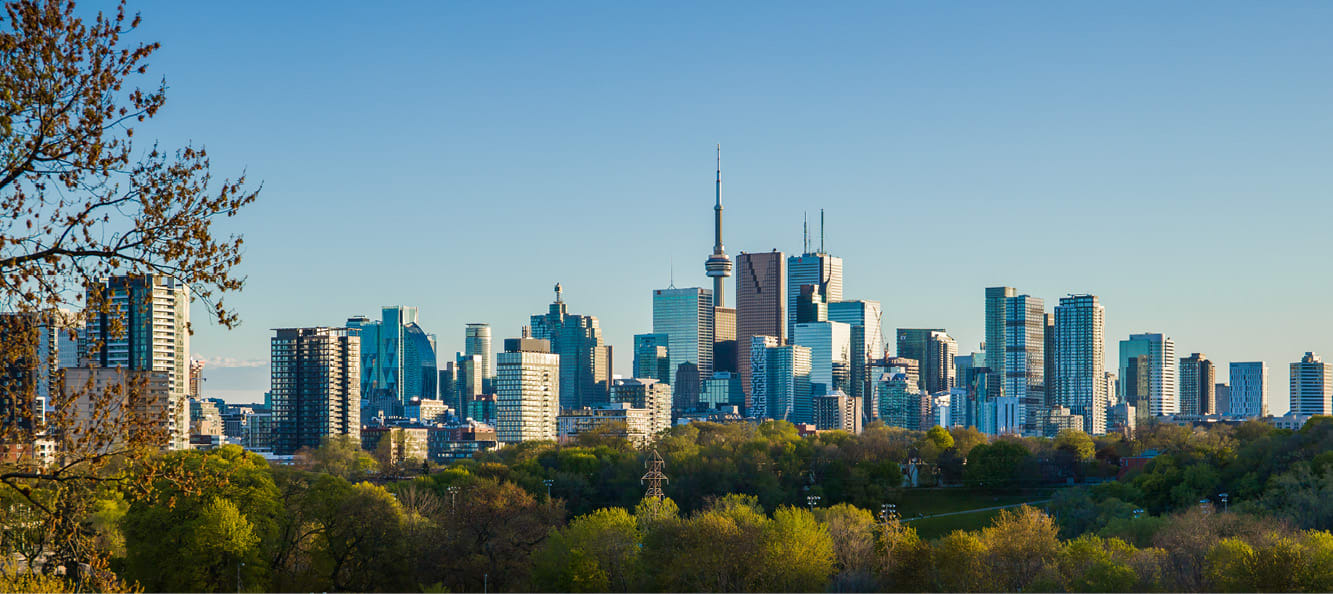 Toronto skyline from Riverdale Park viewpoint with trees in front