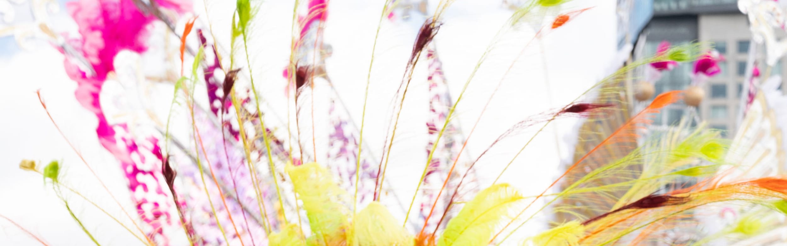 Caribbean Carnival Feathers