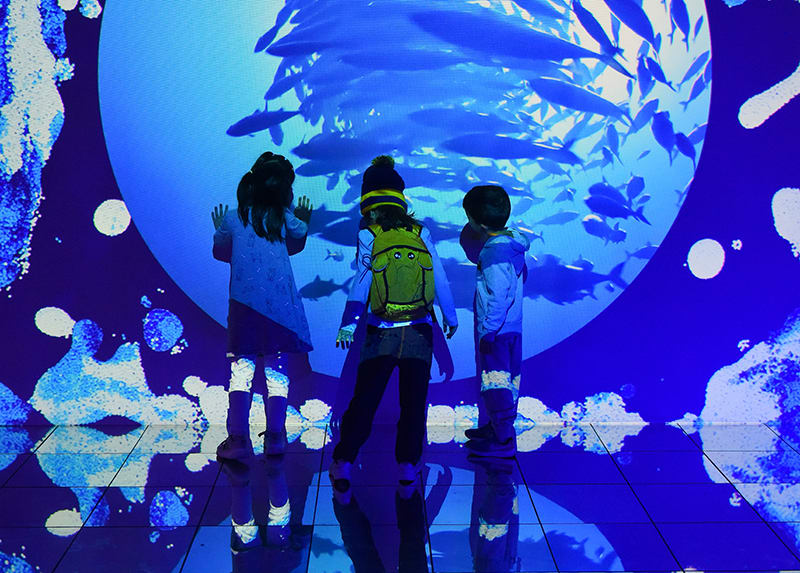 Three children enjoying the Nature in Brilliant Colour exhibition at the Royal Ontario Museum