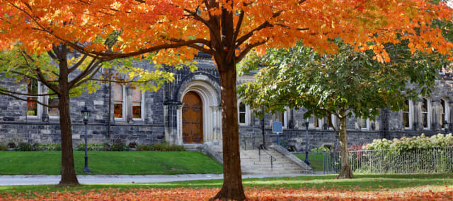 Feel the fall vibes on the University of Toronto campus and take in the colourful autumn leaves
