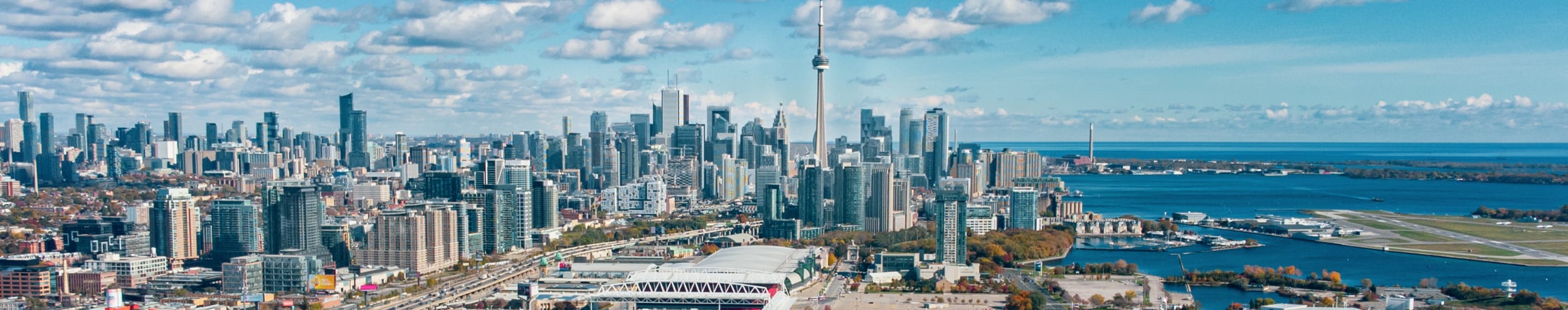 New toronto banner