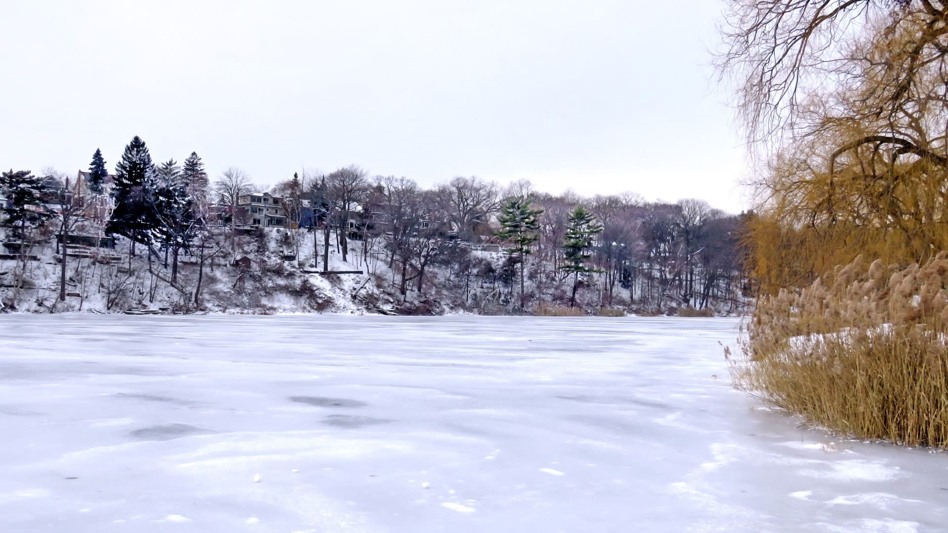 Enter description here