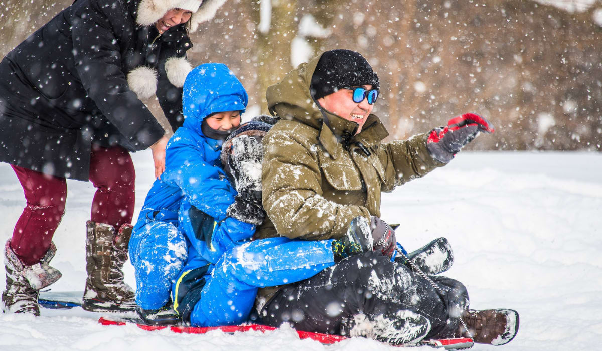 Enter description here