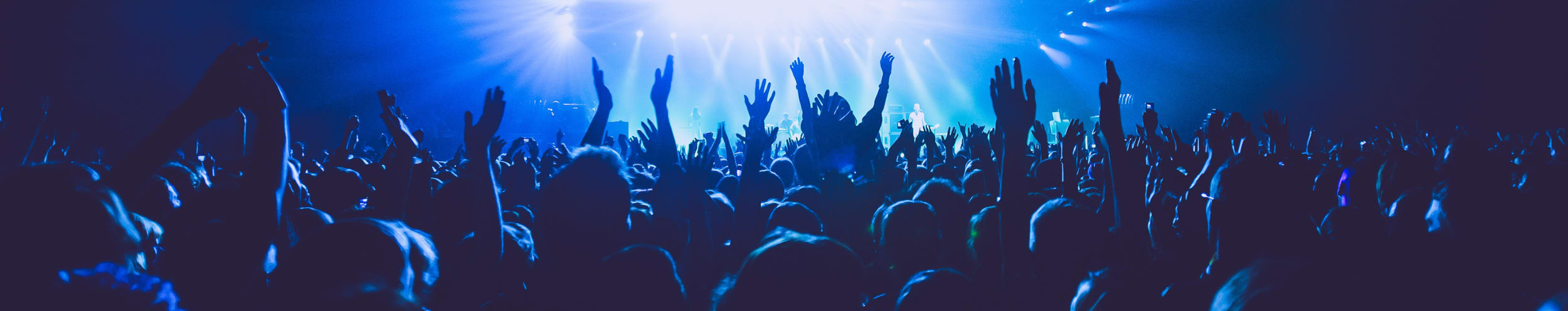 concert banner