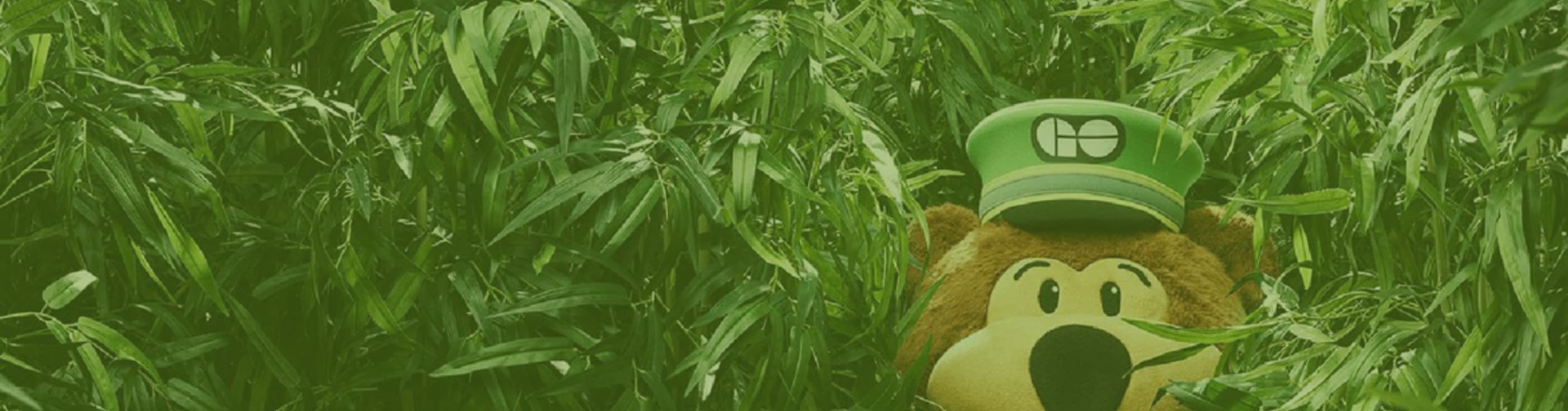 GO Bear Banner 2025