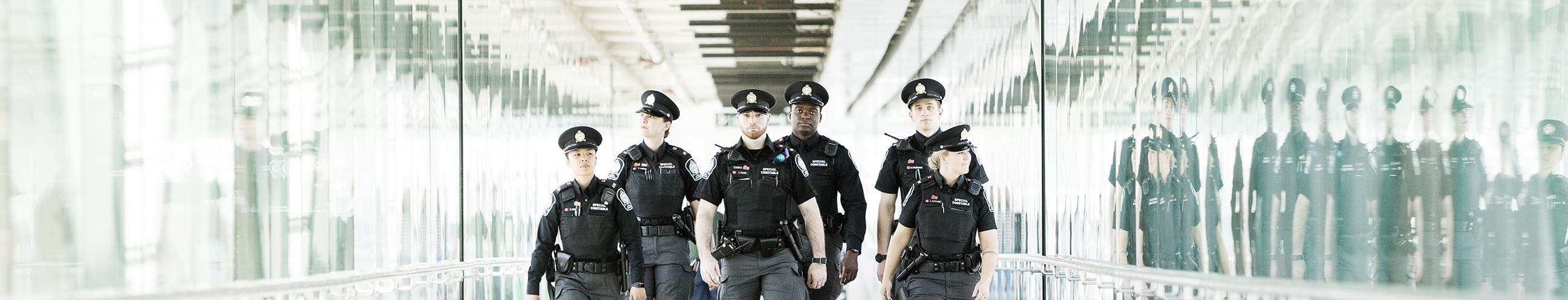Customer Protective Officers
