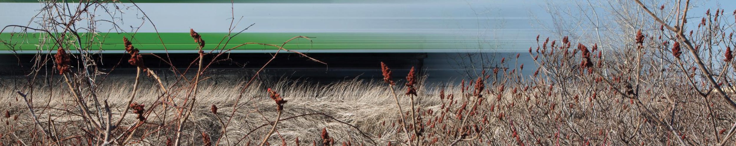 GO Train by a field.