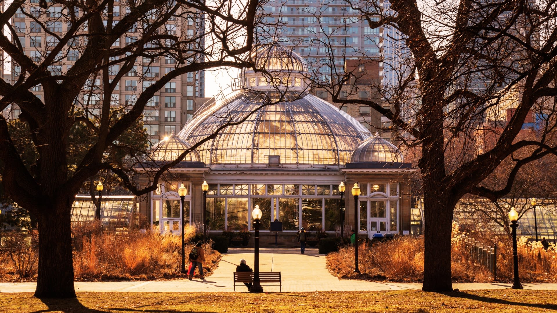 Enter description here