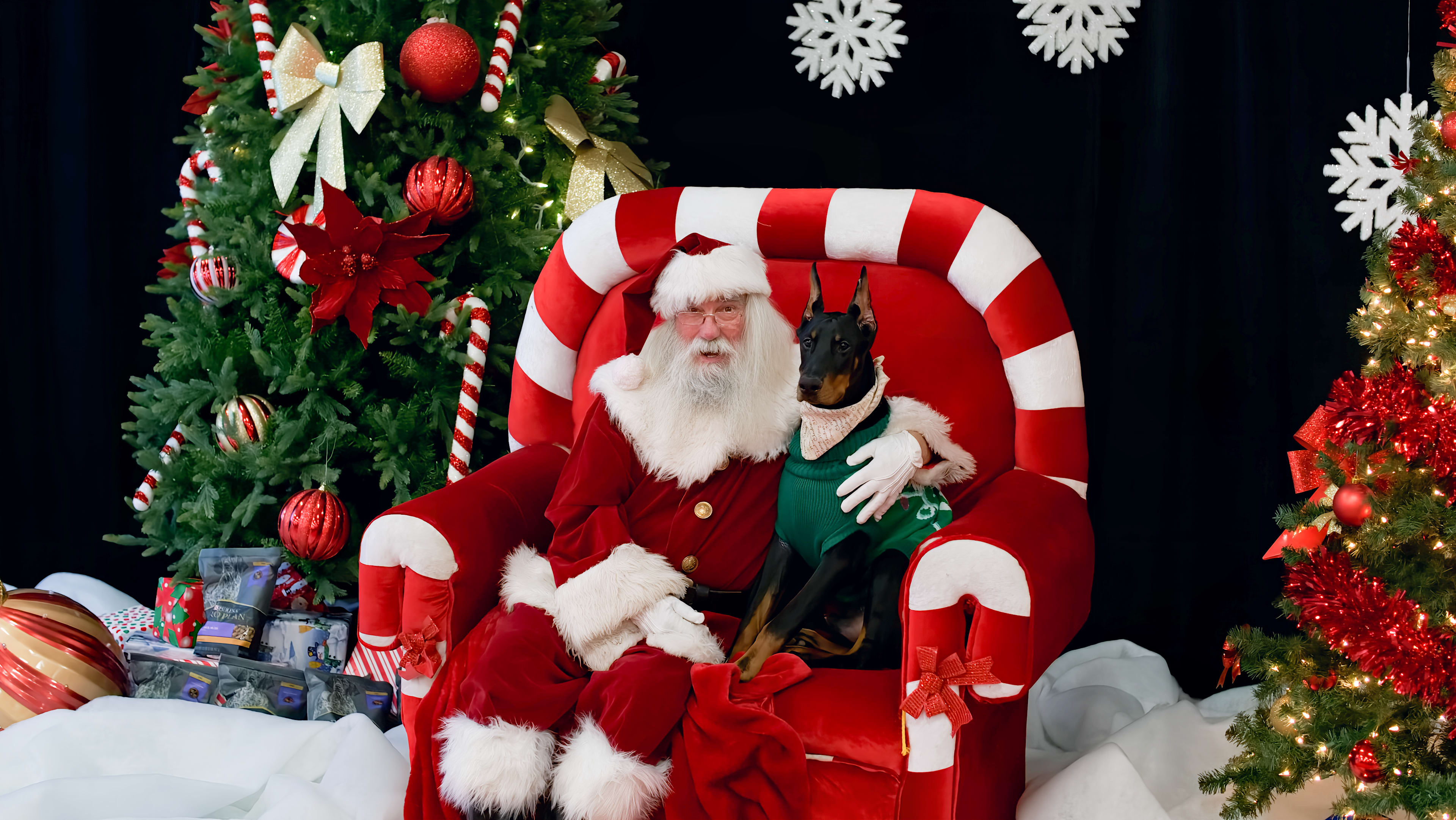 Christmas Pet Expo