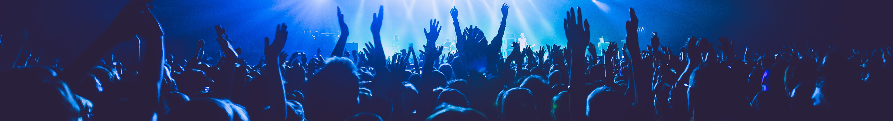 Concert fans new