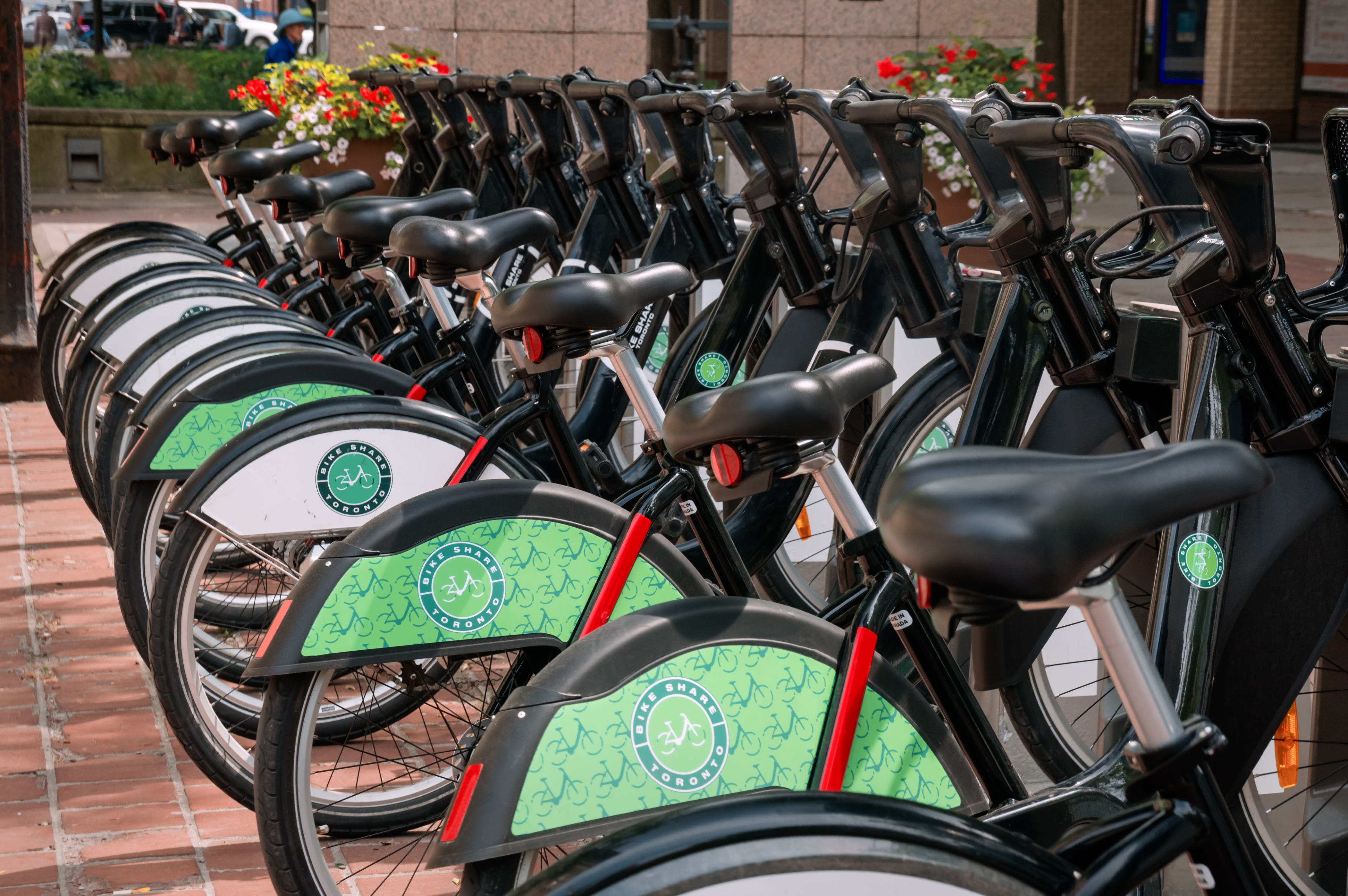 Rack of City of Toronto Bike Share bikes