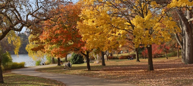 Walk the winding paths of Trillium Park in the fall